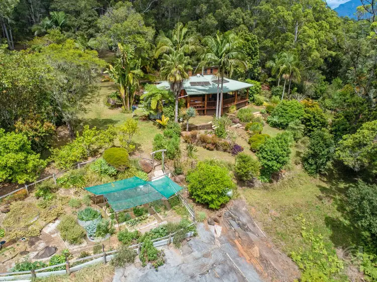 Main view of Homely rural property listing, 665 Byrrill Creek Road, Byrrill Creek NSW 2484