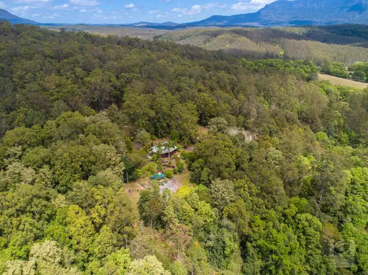 Second view of Homely rural property listing, 665 Byrrill Creek Road, Byrrill Creek NSW 2484