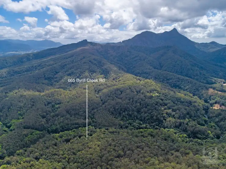 Third view of Homely rural property listing, 665 Byrrill Creek Road, Byrrill Creek NSW 2484
