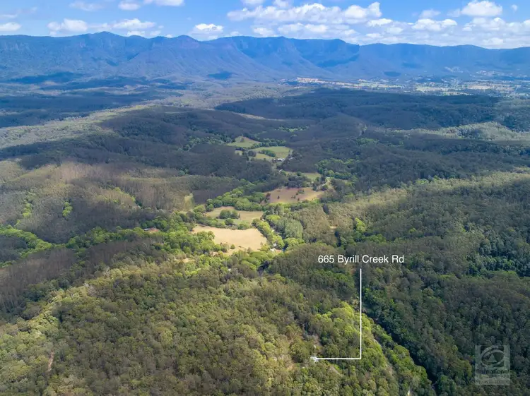Fourth view of Homely rural property listing, 665 Byrrill Creek Road, Byrrill Creek NSW 2484