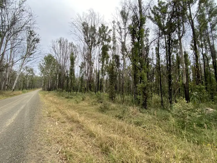 Fifth view of Homely rural property listing, LOT 512 Old Tenterfield Road, Camira NSW 2469