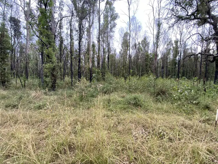 Sixth view of Homely rural property listing, LOT 512 Old Tenterfield Road, Camira NSW 2469