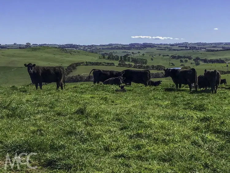 Sixth view of Homely rural property listing, 'Limestone Ridge' 8 Limestone Lane, Blayney NSW 2799