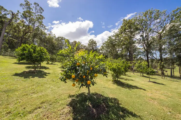 Sixth view of Homely rural property listing, Off Big River Way, Tyndale NSW 2460