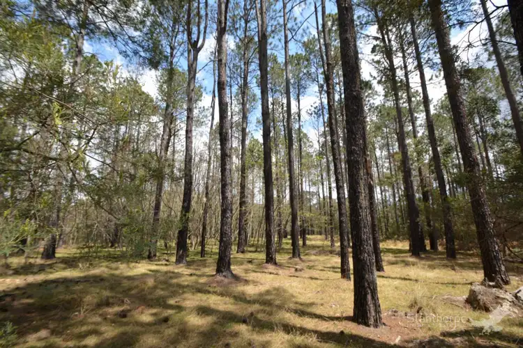LOT 85 Central Road, Sugarloaf QLD 4380