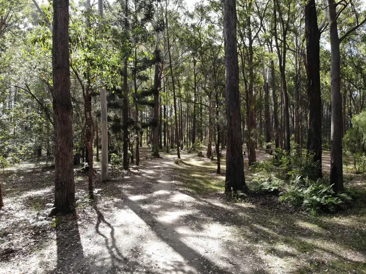 Main view of Homely land listing, 1067 Manning Point Road, Mitchells Island NSW 2430