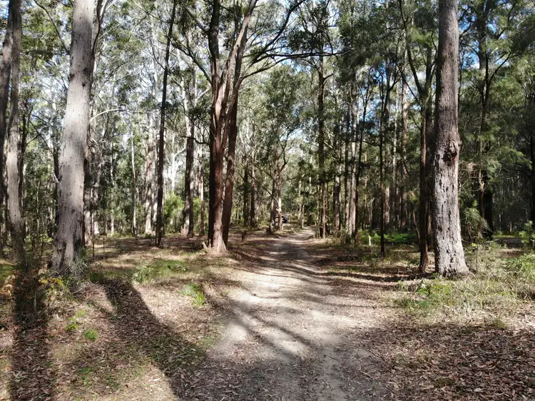 Second view of Homely land listing, 1067 Manning Point Road, Mitchells Island NSW 2430