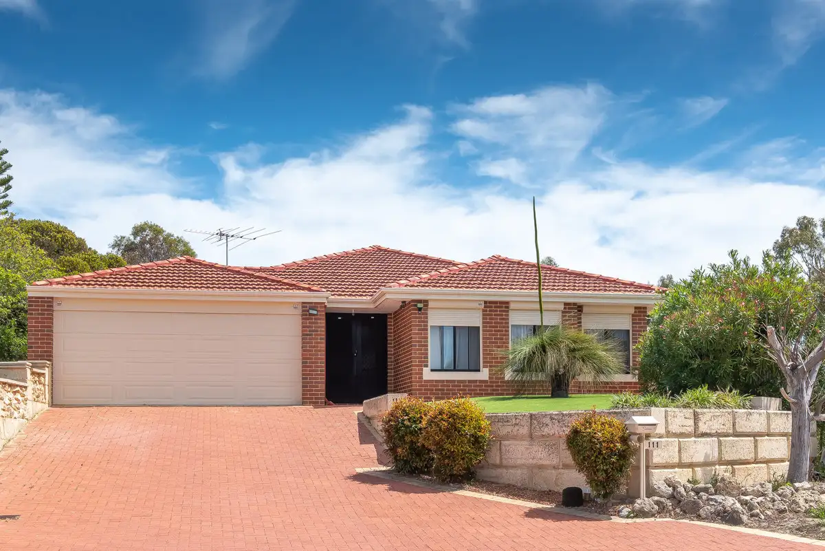 Main view of Homely house listing, 111 Camberwarra Drive, Craigie WA 6025