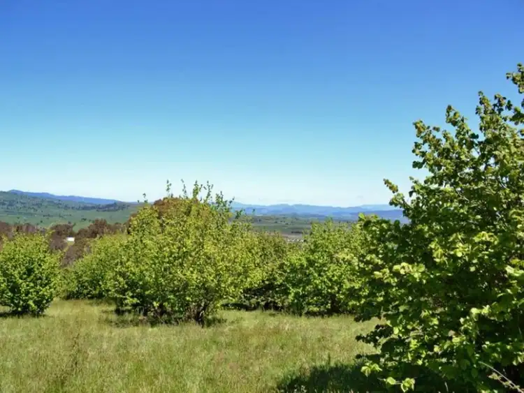 Third view of Homely land listing, 818 Old Tolmie Road, Barwite VIC 3722