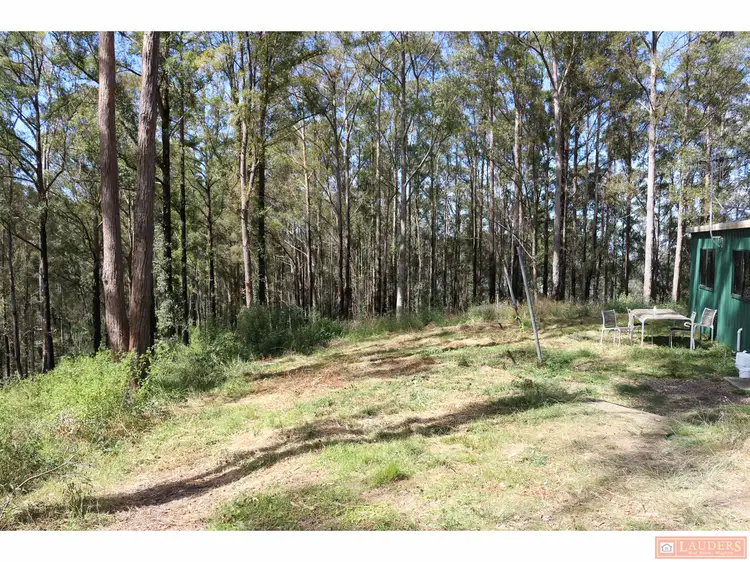 Third view of Homely rural property listing, 395 Knodingbul Forest Road, Mount George NSW 2424