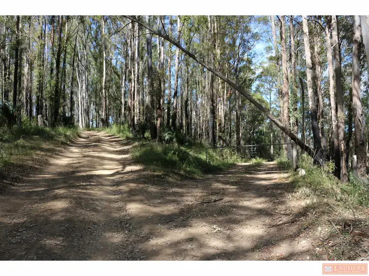 Fourth view of Homely rural property listing, 395 Knodingbul Forest Road, Mount George NSW 2424