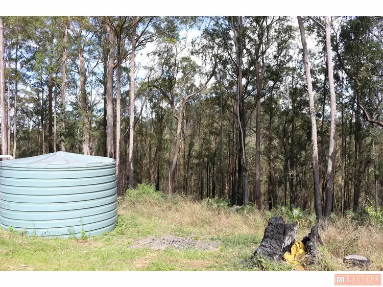 Fifth view of Homely rural property listing, 395 Knodingbul Forest Road, Mount George NSW 2424