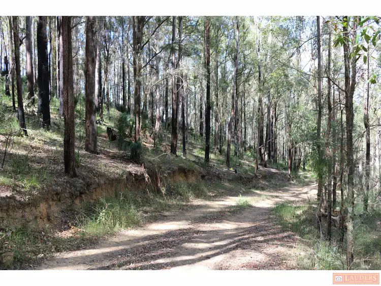 Seventh view of Homely rural property listing, 395 Knodingbul Forest Road, Mount George NSW 2424