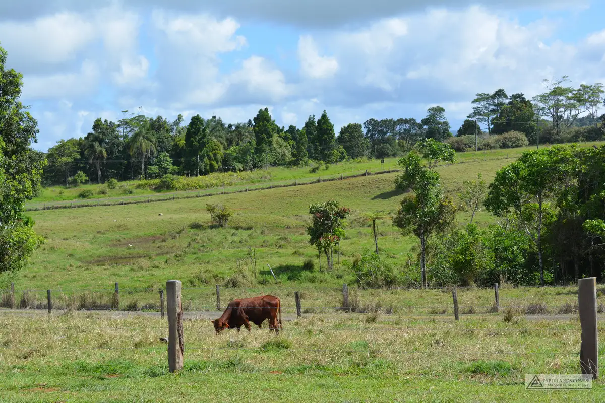 Main view of Homely rural property listing, Address available on request