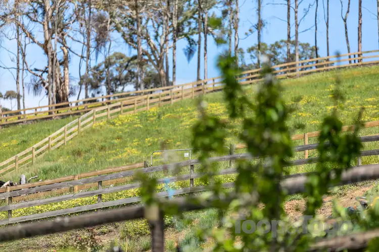 Sixth view of Homely house listing, 88a Western Branch Road, Lobethal SA 5241