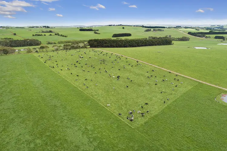 Third view of Homely rural property listing, 601 Boorook Road, Cooriemungle VIC 3268