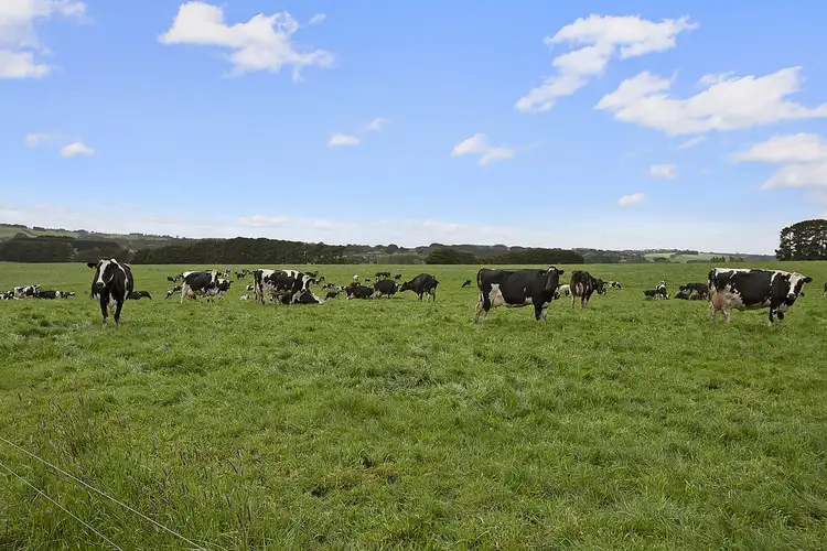 Seventh view of Homely rural property listing, 601 Boorook Road, Cooriemungle VIC 3268