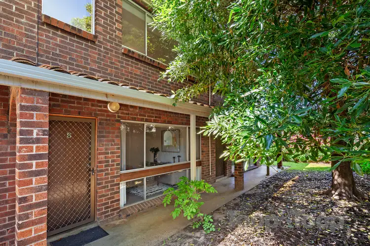 6/97 Young Street, Parkside SA 5063