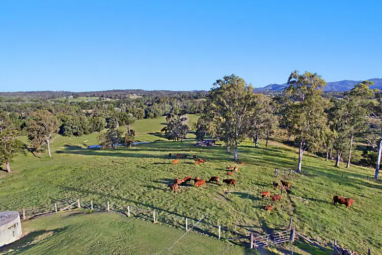 Third view of Homely house listing, 67 Juffs Road, Dayboro QLD 4521