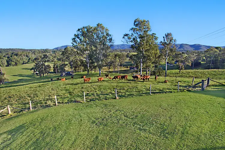 Fifth view of Homely house listing, 67 Juffs Road, Dayboro QLD 4521