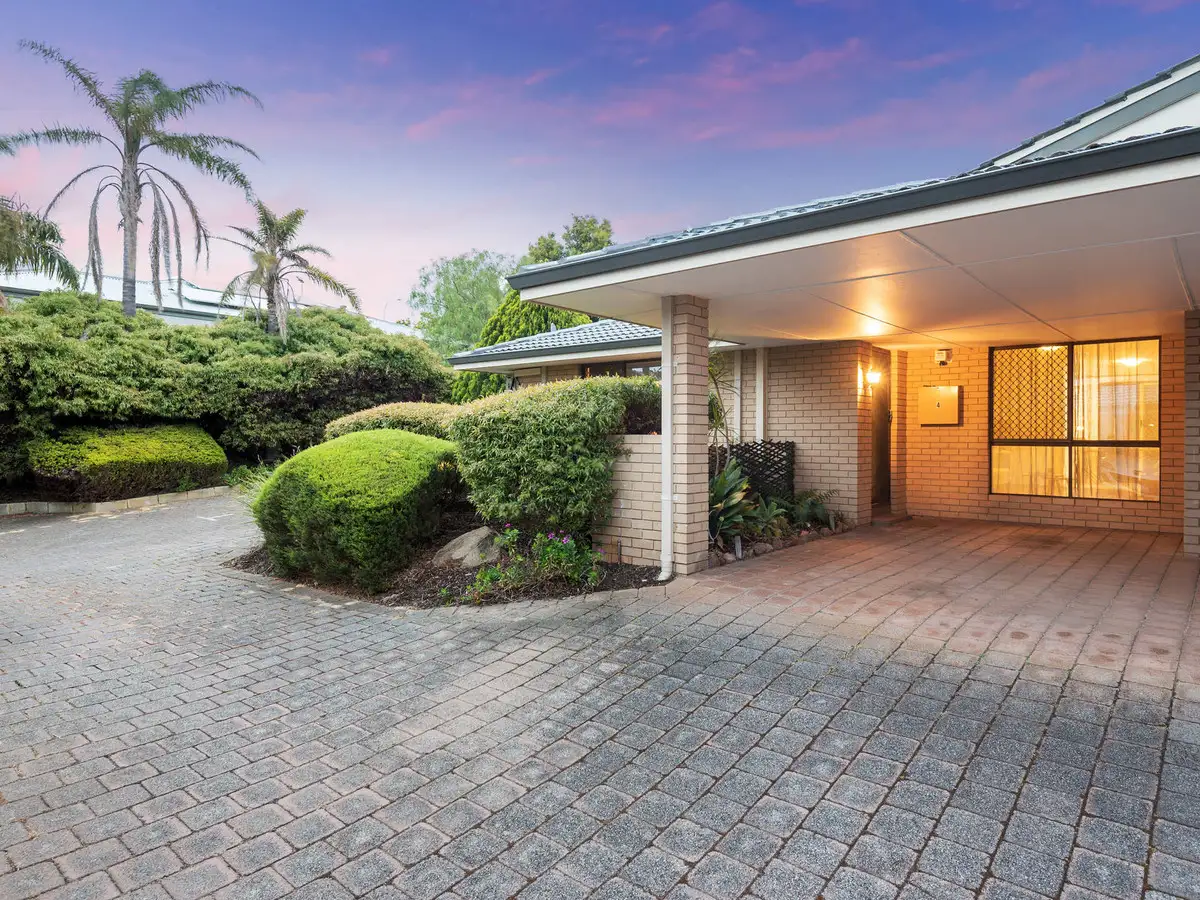 Main view of Homely villa listing, 4/99 Moulden Avenue, Yokine WA 6060