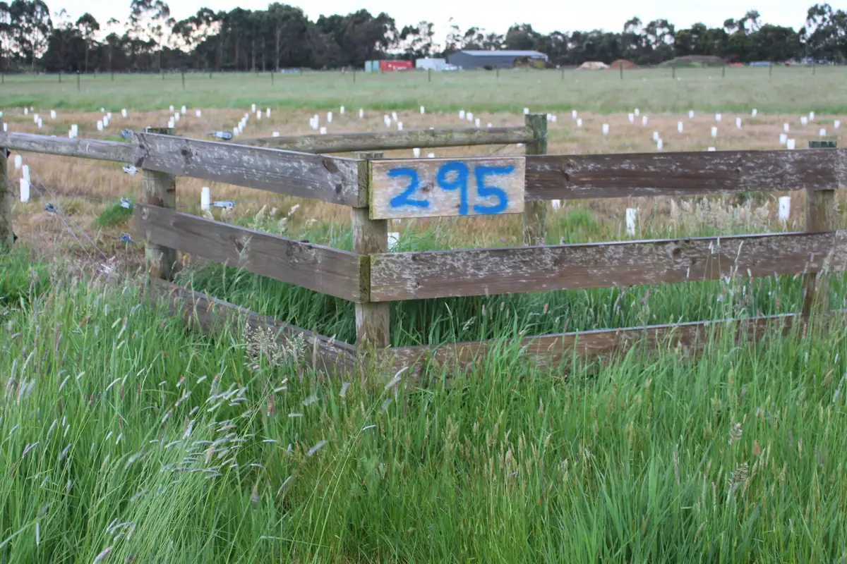 Main view of Homely rural property listing, 295 Deans Creek Road, Elliminyt VIC 3250