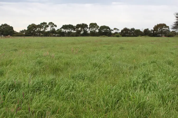 Fourth view of Homely rural property listing, 295 Deans Creek Road, Elliminyt VIC 3250