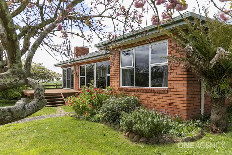 529 Nine Mile Road, West Pine TAS 7316