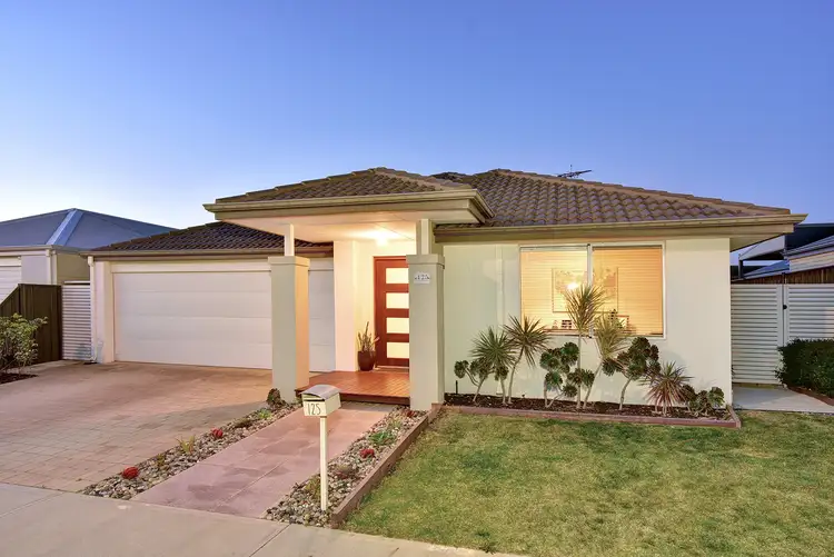 Main view of Homely house listing, 125 Boomerang Loop, Banksia Grove WA 6031