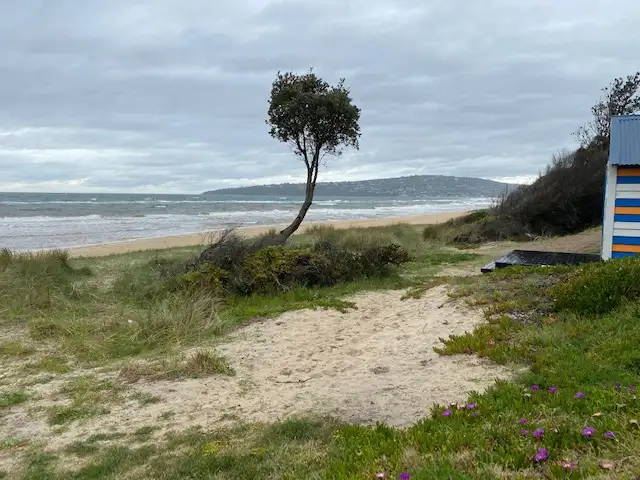 Sixth view of Homely other listing, Boat Shed 59, Safety Beach VIC 3936