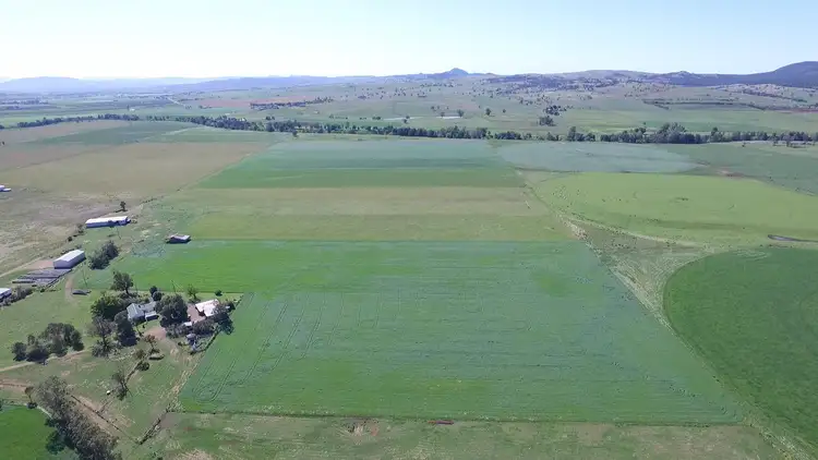 Third view of Homely rural property listing, 630 Mangoola Road, Denman NSW 2328