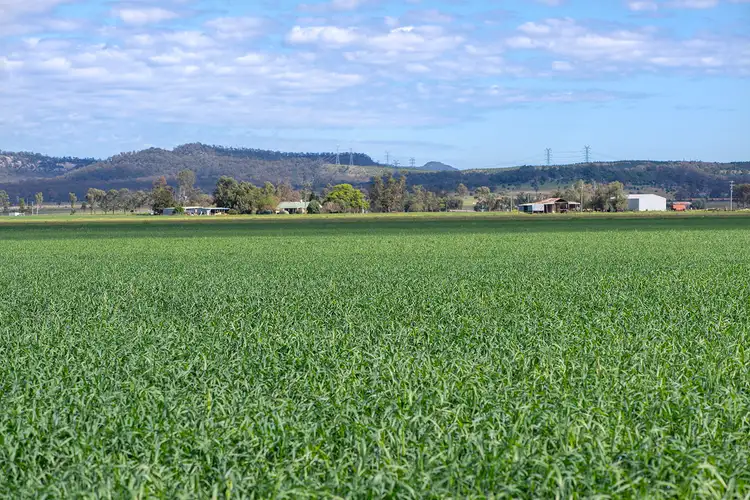 Fourth view of Homely rural property listing, 630 Mangoola Road, Denman NSW 2328