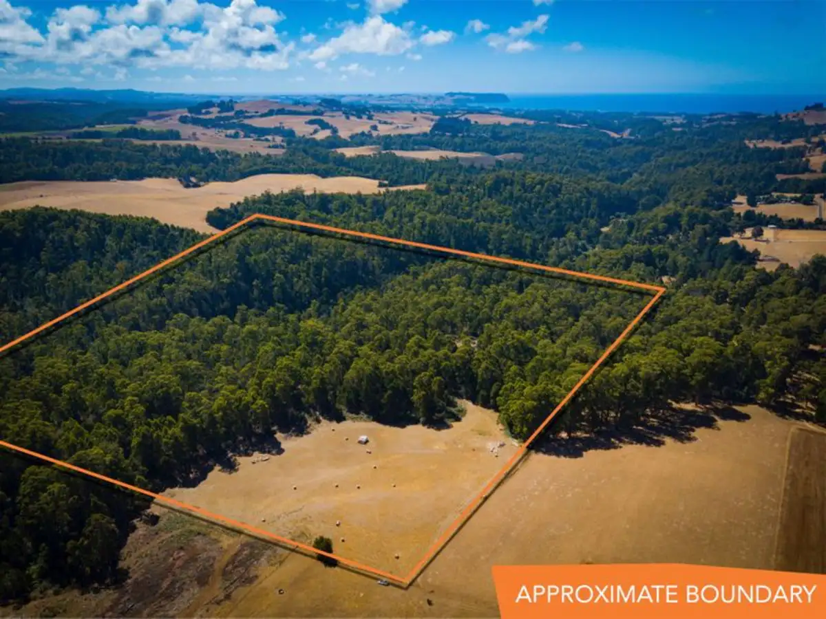 Main view of Homely rural property listing, Lot 1 Nunns Road, Elliott TAS 7325