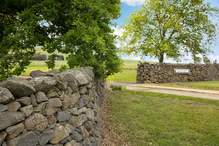 Fourth view of Homely rural property listing, 635 Mooleric Road, Birregurra VIC 3242