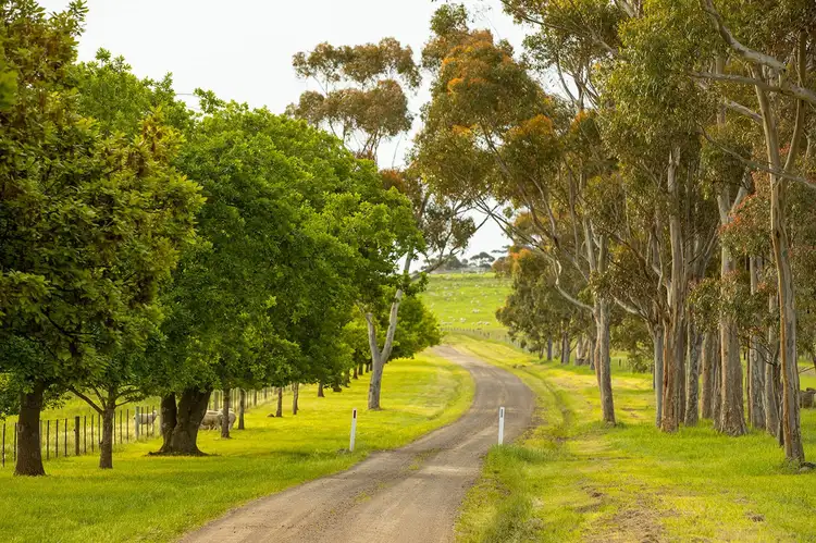 Sixth view of Homely rural property listing, 635 Mooleric Road, Birregurra VIC 3242