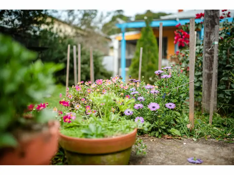 Third view of Homely house listing, 15 Mary Street, Bellingen NSW 2454