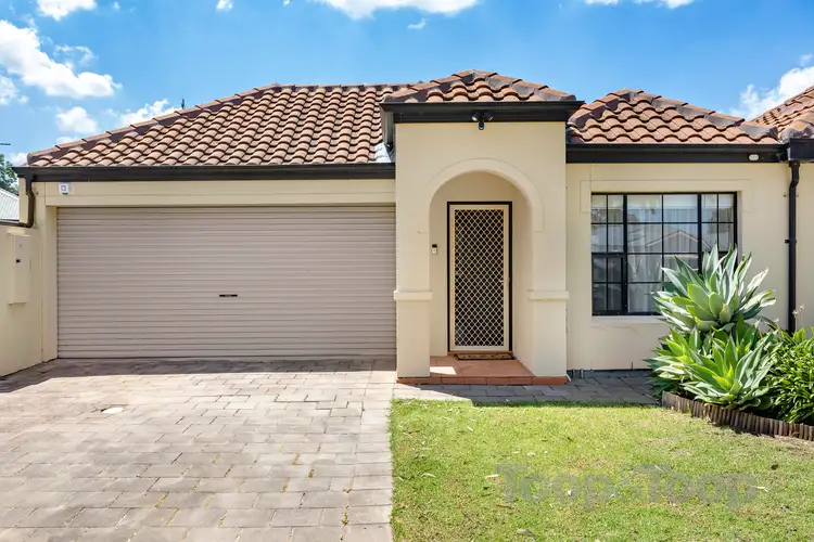 Main view of Homely house listing, 1/16 Hender Avenue, Klemzig SA 5087