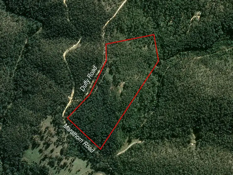 Second view of Homely rural property listing, 1 Duffy Road, Briagolong VIC 3860