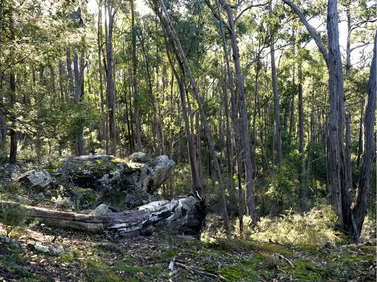 Fourth view of Homely rural property listing, 1 Duffy Road, Briagolong VIC 3860