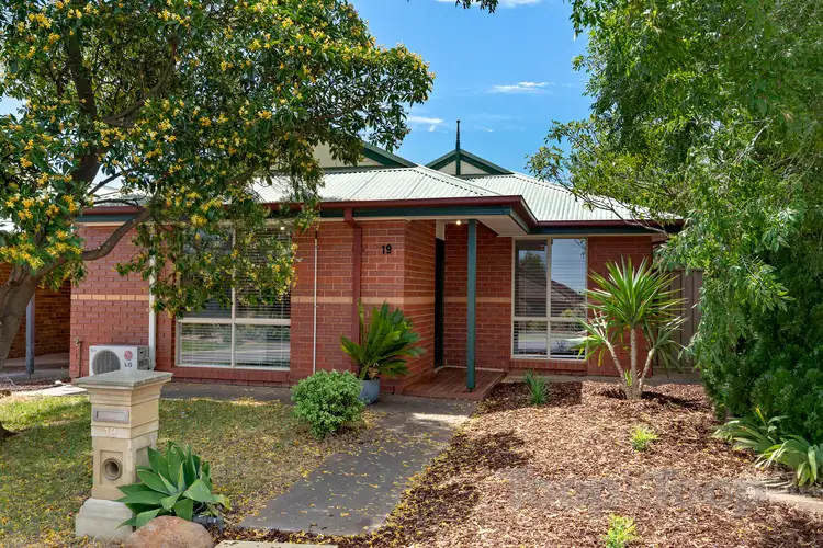 Main view of Homely house listing, 19 Sellar Court, Greenwith SA 5125