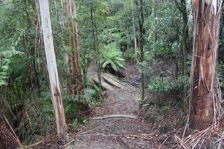 Main view of Homely rural property listing, 574 Apollo Bay-Forrest Road, Barramunga VIC 3249