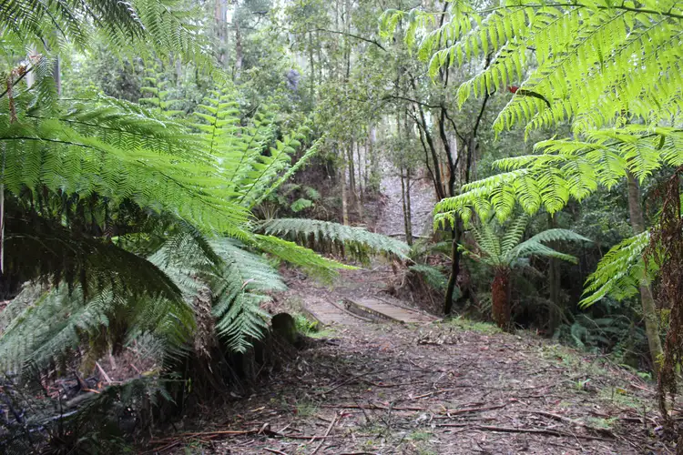 Second view of Homely rural property listing, 574 Apollo Bay-Forrest Road, Barramunga VIC 3249