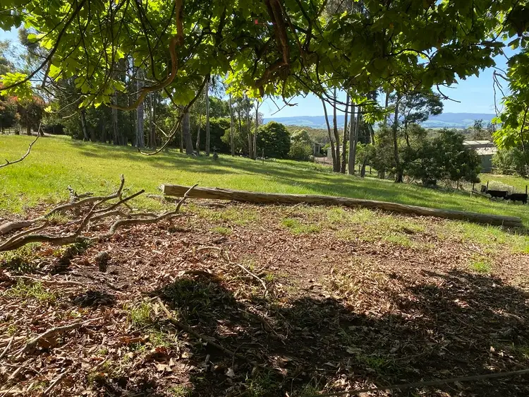 Second view of Homely rural property listing, 150 Birregurra/Yeodene Road, Birregurra VIC 3242