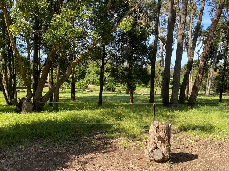 Fourth view of Homely rural property listing, 150 Birregurra/Yeodene Road, Birregurra VIC 3242