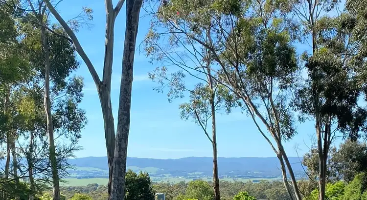 Fifth view of Homely rural property listing, 150 Birregurra/Yeodene Road, Birregurra VIC 3242
