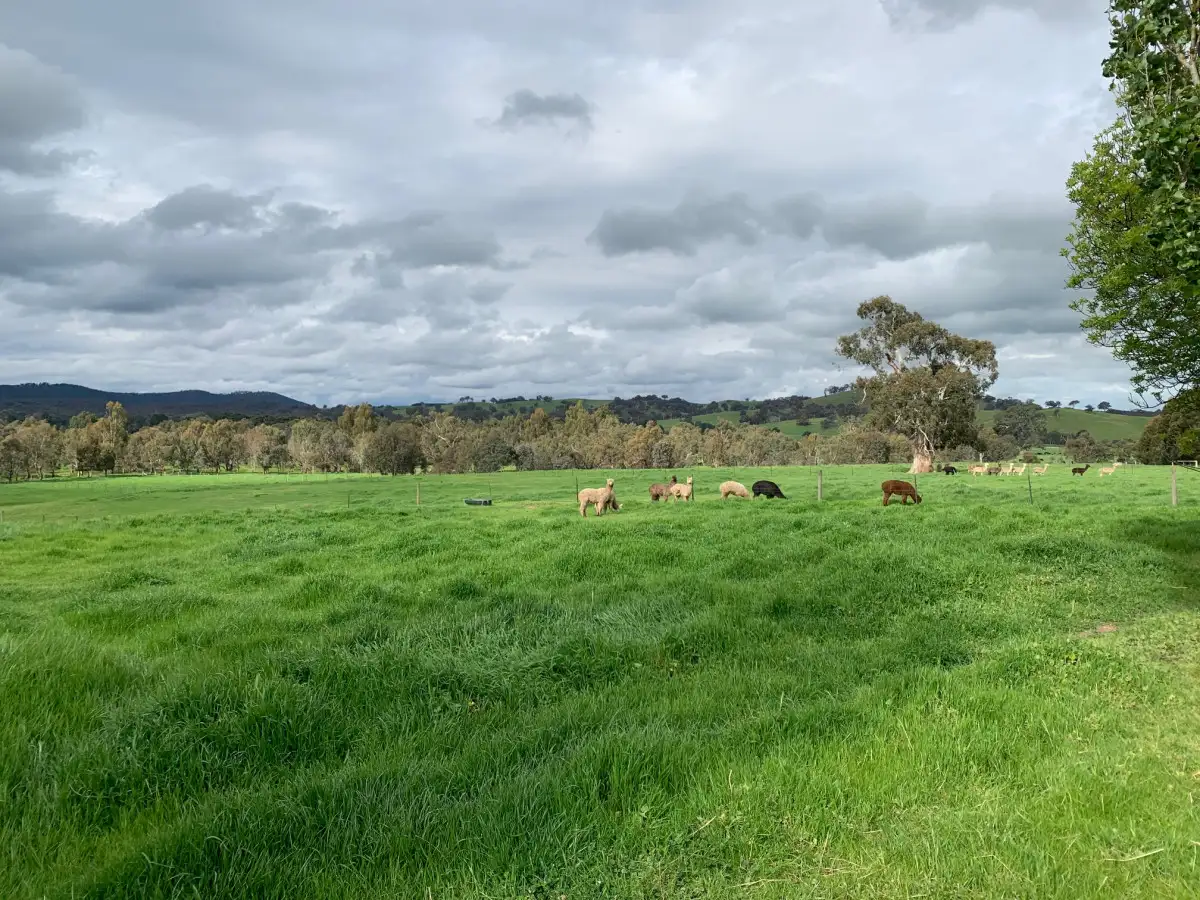 Main view of Homely rural property listing, 3263 Merton-Euroa Road, Merton VIC 3715