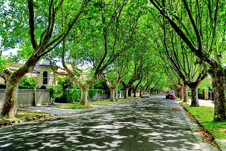 Sixth view of Homely apartment listing, 505/839 Dandenong Road, Malvern East VIC 3145