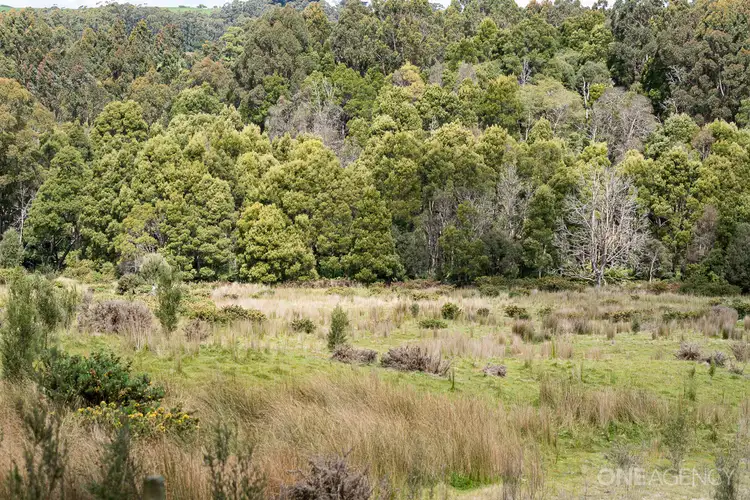 Third view of Homely land listing, LOT 3 Hilders Road, Irishtown TAS 7330