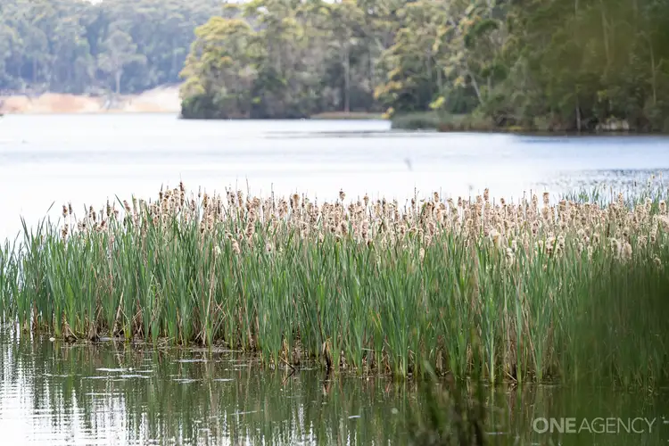 Sixth view of Homely land listing, LOT 3 Hilders Road, Irishtown TAS 7330