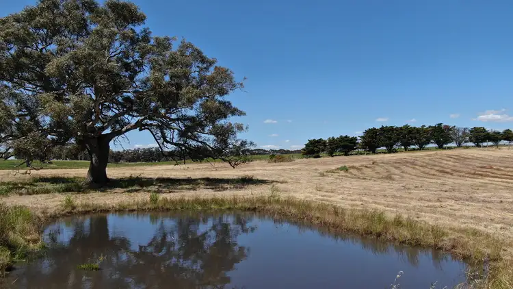 Second view of Homely rural property listing, LOT 1,2 & 3 Hamilton Highway, Cressy VIC 3322